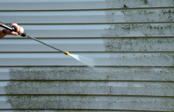 Reliable Santa Ynez, CA Pressure Washing Services Solutions
